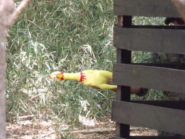 お道化た感じで辞めた理由のイメージ