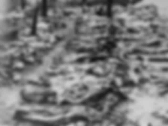 発掘された遺体