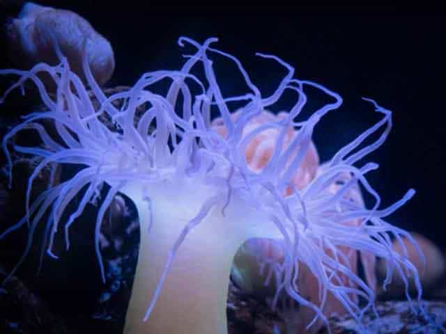 それっぽいイメージ