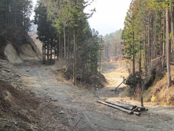 広々としたキャンプ場