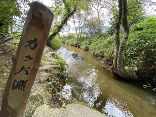 遠野のカッパ淵